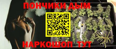 стафф Краснодар