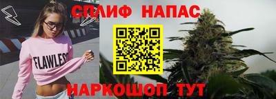 стафф Краснодар