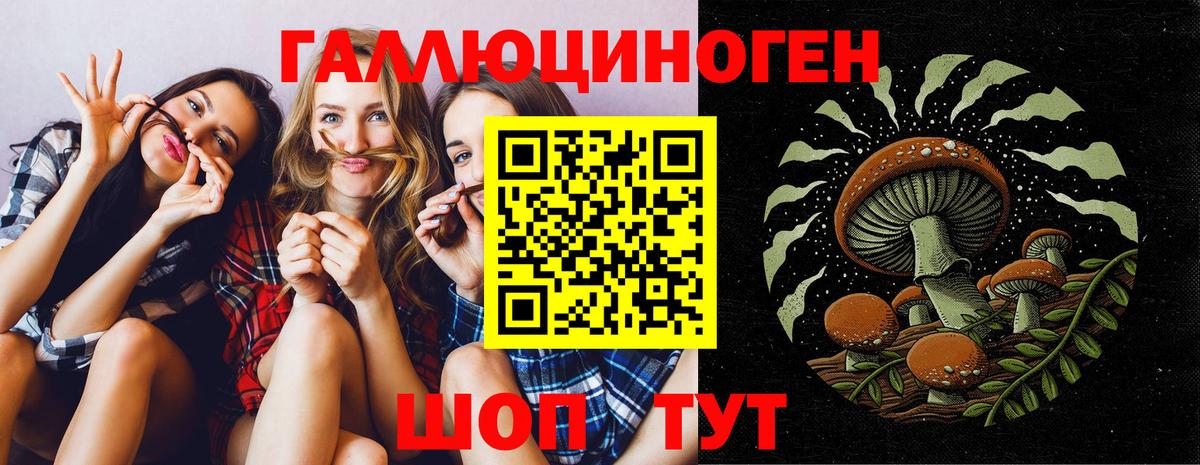 дарнет шоп  Вход с VPN  Ессентуки  Псилоцибиновые грибы мицелий 